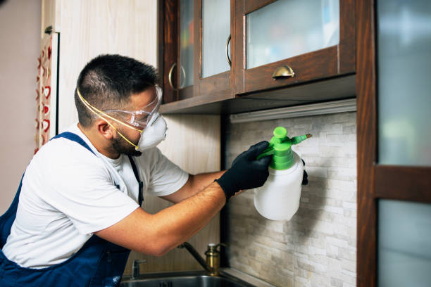 Best Affordable Pest Control Services  in Garwood, NJ