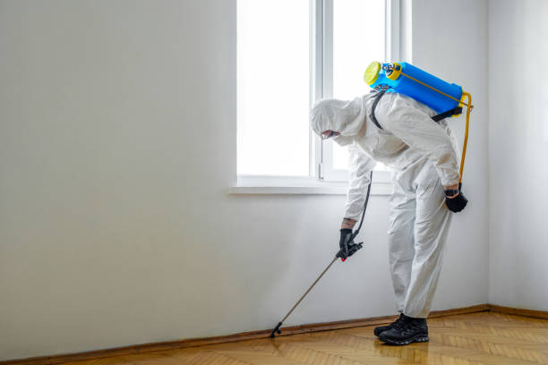Best Termite Control Services  in Garwood, NJ