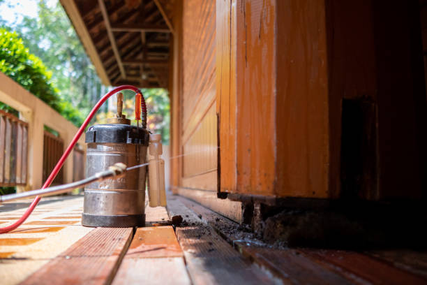 Best Pest Removal Services  in Garwood, NJ