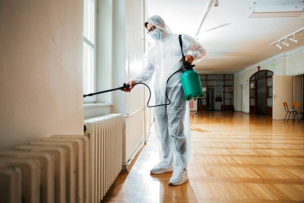 Best Flea Control Services  in Garwood, NJ