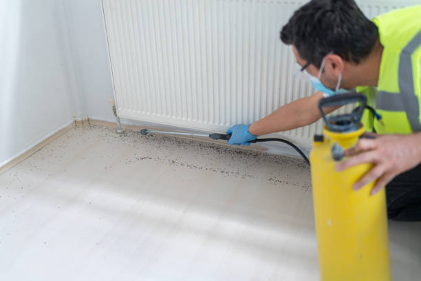 Best Pest Inspection Near Me  in Garwood, NJ